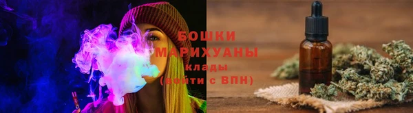 молекула духа Сосновый Бор