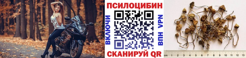 Галлюциногенные грибы GOLDEN TEACHER Заринск